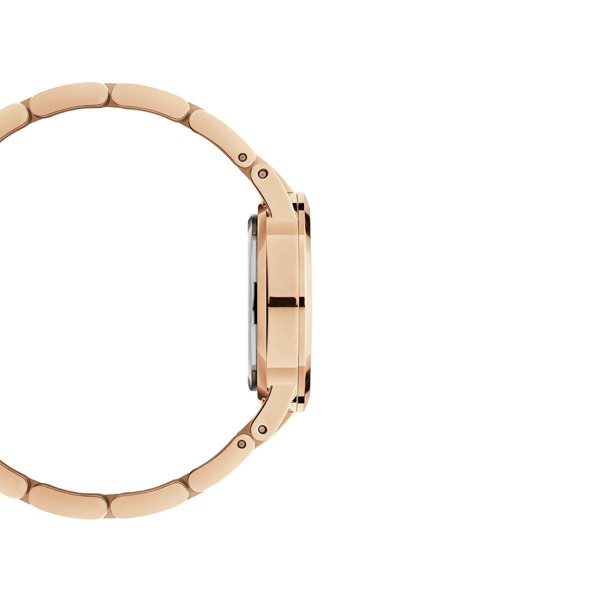 dw官网 dw手表官网 dw中国官网 dw官方旗舰店 DW DW官网 Watch Iconic Link RG 28mm
